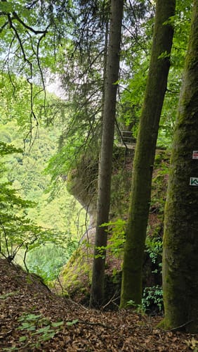Rundweg Riesenburg - Engelhardsberg - Schottersmühle