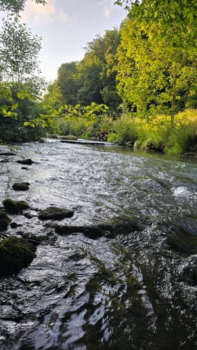 Rundweg Riesenburg - Engelhardsberg - Schottersmühle