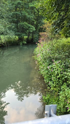Rundweg Riesenburg - Engelhardsberg - Schottersmühle