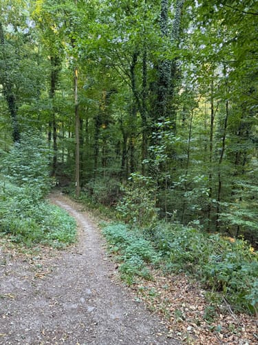 Beutig-Rundweg