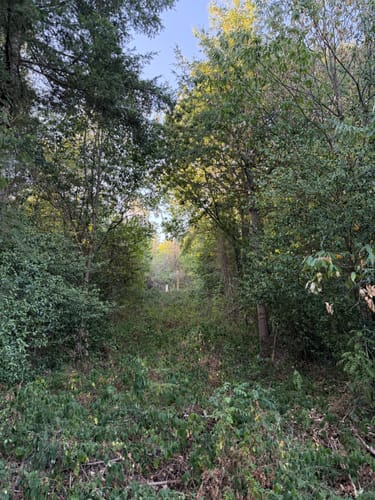 Beutig-Rundweg