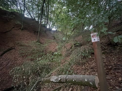 Teufelstour (Premiumwanderweg)
