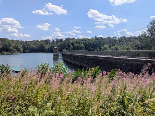 Neyetalweg zur Neyetalsperre