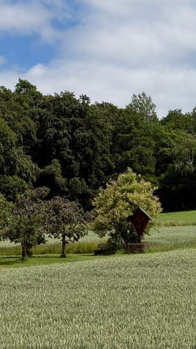 Jugendwanderweg - Rund um Leutenbach