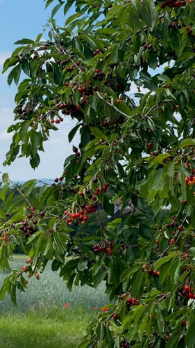 Jugendwanderweg - Rund um Leutenbach