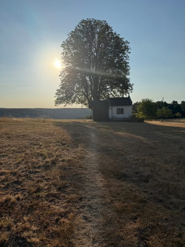 Mespelbrunn: Räuberlandweg 3