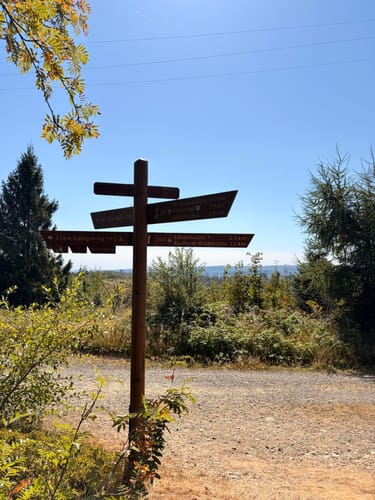 Naturmythenpfad Braunlage
