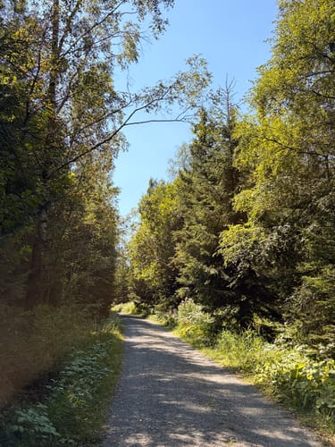 Naturmythenpfad Braunlage