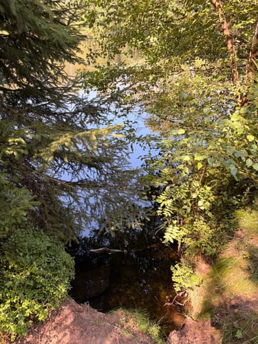 Naturmythenpfad Braunlage