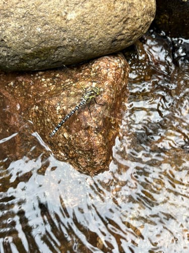 Maischbach - Geroldsauer Wasserfall