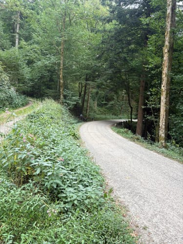 Maischbach - Geroldsauer Wasserfall