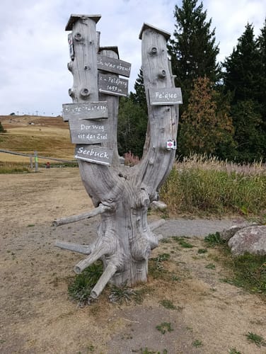 Auf den Feldberg