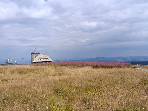 Auf den Feldberg