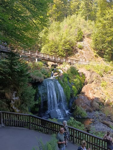 Wasserfälle - Hochseilgarten - Bergsee