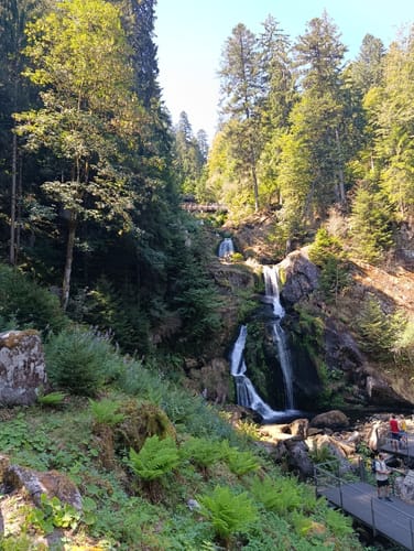 Wasserfälle - Hochseilgarten - Bergsee
