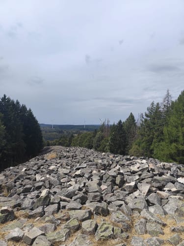 Dollbergschleife (Traumschleife)