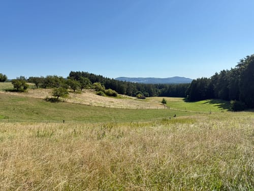 Neunkirchen am Sand Rundwanderweg Grün 1
