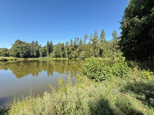 Neunkirchen am Sand Rundwanderweg Grün 1