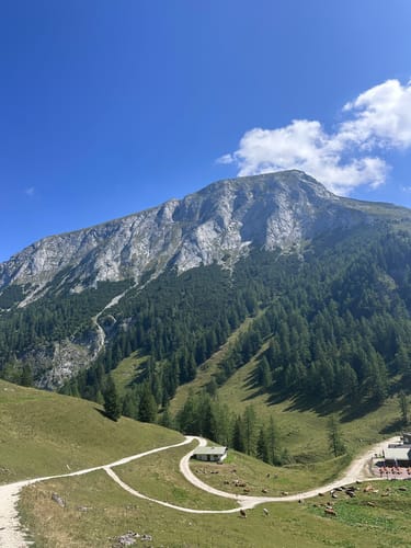 Auf den Gipfel des Jenner über die Königsbach Alm