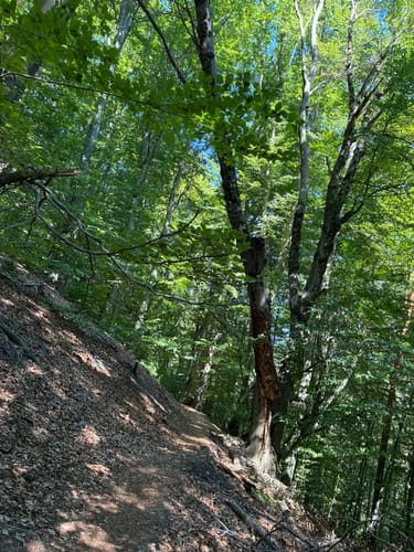 Děčín - Sněžník