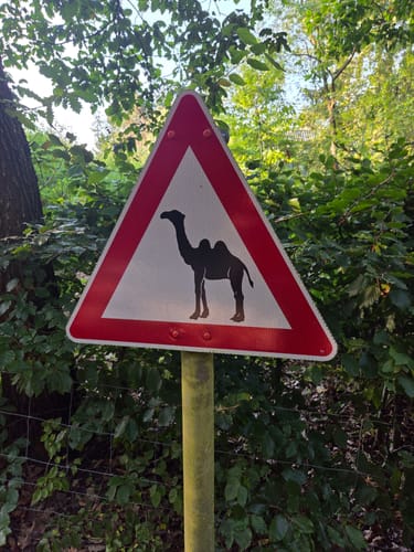 Heidschnuckenweg Etappe 2: Buchholz in der Nordheide - Handeloh