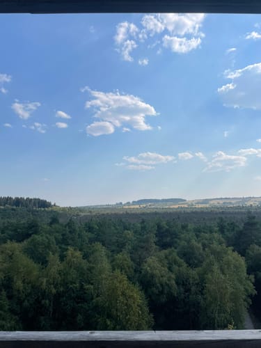 Naturlehrpfad Schwarzes Moor