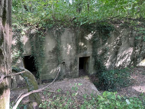 Beckinger Saarblicke (Traumschleife)