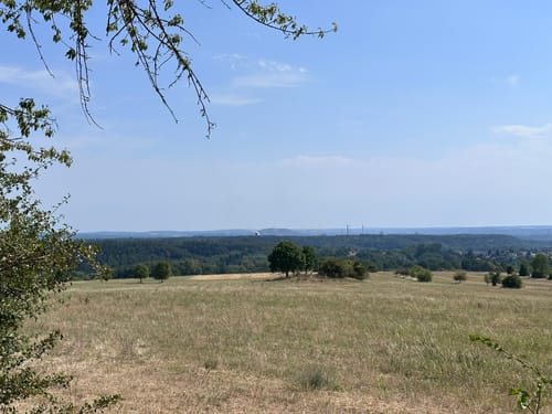 Beckinger Saarblicke (Traumschleife)