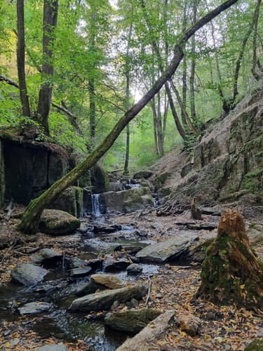 Premiumwanderpfad: Bergschluchtenpfad Ehrenburg