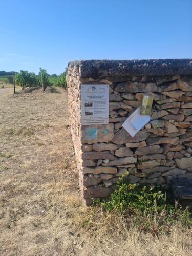Küstenweg Rheinhessen - Rundweg Siefersheim - Wöllstein - Neu-Bamberg