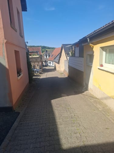 Küstenweg Rheinhessen - Rundweg Siefersheim - Wöllstein - Neu-Bamberg