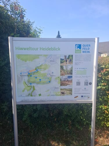Küstenweg Rheinhessen - Rundweg Siefersheim - Wöllstein - Neu-Bamberg