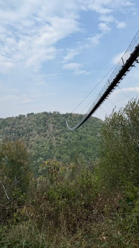 Bäche-Runde und Geierlay Hängebrücke