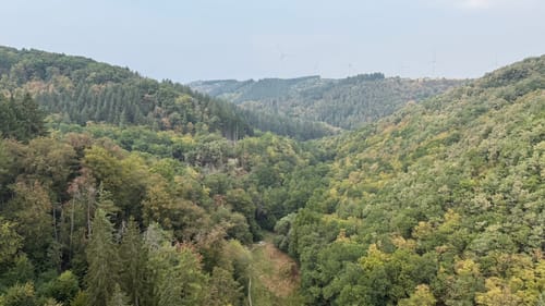 Bäche-Runde und Geierlay Hängebrücke