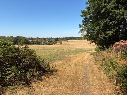 Stüterhof und Weltachs
