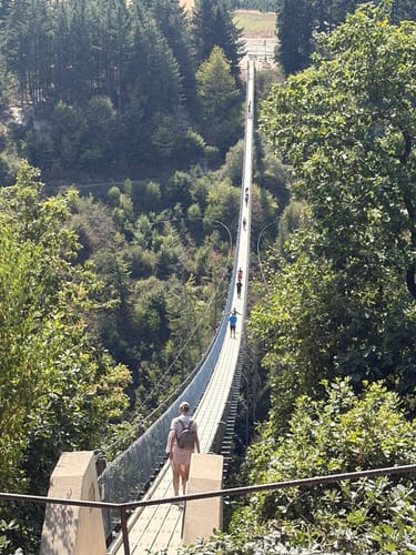 Rundwanderung Geyerlay - Längste Hängeseilbrücke Deutschlands