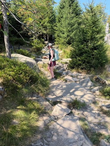 Schierke und Brocken über Eckerlochstieg