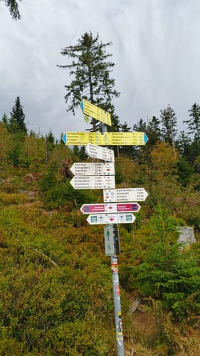Mummelsee-Hornisgrindepfad