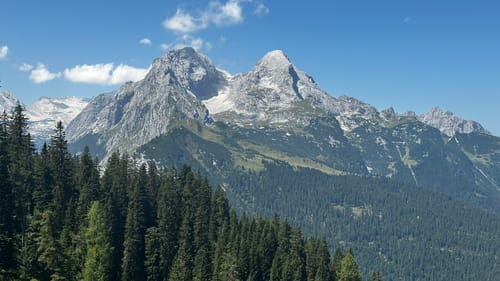 Über den Königsweg zum Schachen