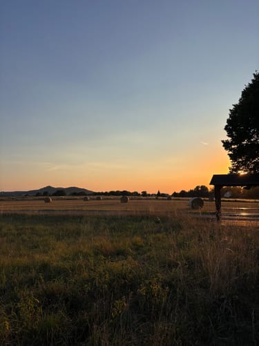Langes Horn via Emmabankweg