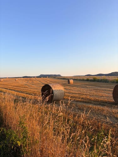 Langes Horn via Emmabankweg