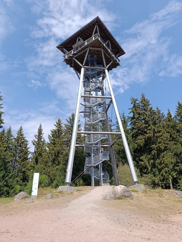 Rundweg zum Riesenbühlturm