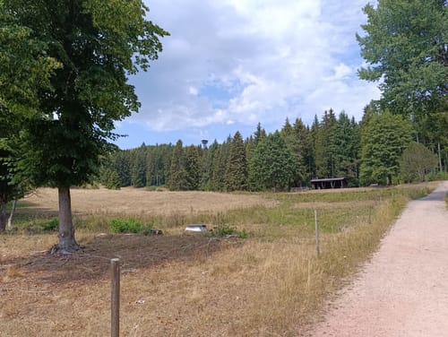 Rundweg zum Riesenbühlturm