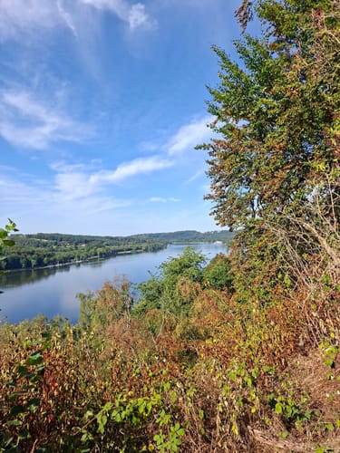Jagdhaus Schellenberg - Baldeneysee - Baldeneyer Wald