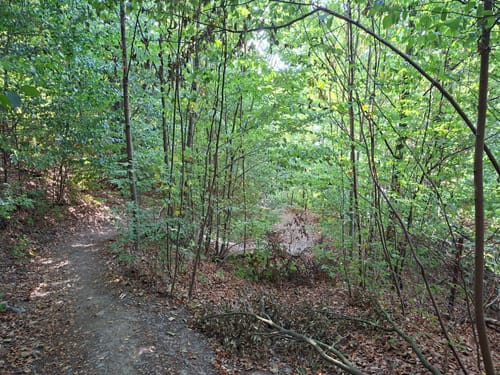 Jagdhaus Schellenberg - Baldeneysee - Baldeneyer Wald