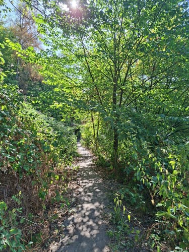Jagdhaus Schellenberg - Baldeneysee - Baldeneyer Wald