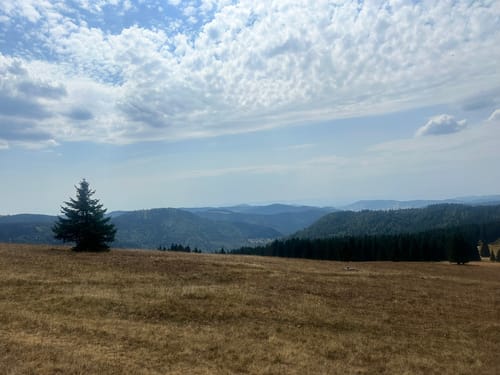 Feldbergsteig (Genießerpfad)