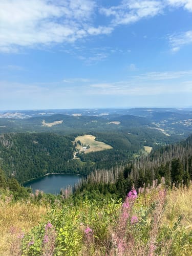 Feldbergsteig (Genießerpfad)
