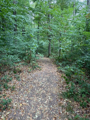 Hohler Stein Rundwanderung