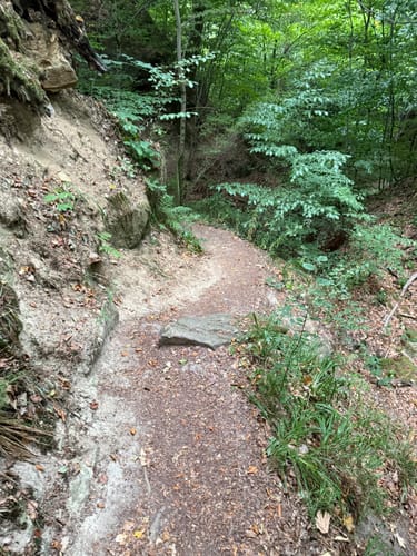 Hohler Stein Rundwanderung